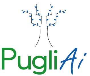 PugliAI - AI consulting company helping Italian SMEs with AI optimization strategies